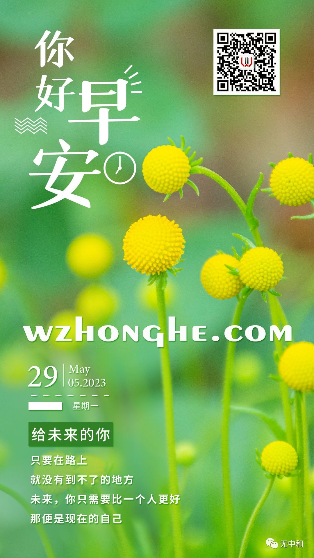早安 - 无中和wzhonghe.com 早安 - 无中和wzhonghe.com