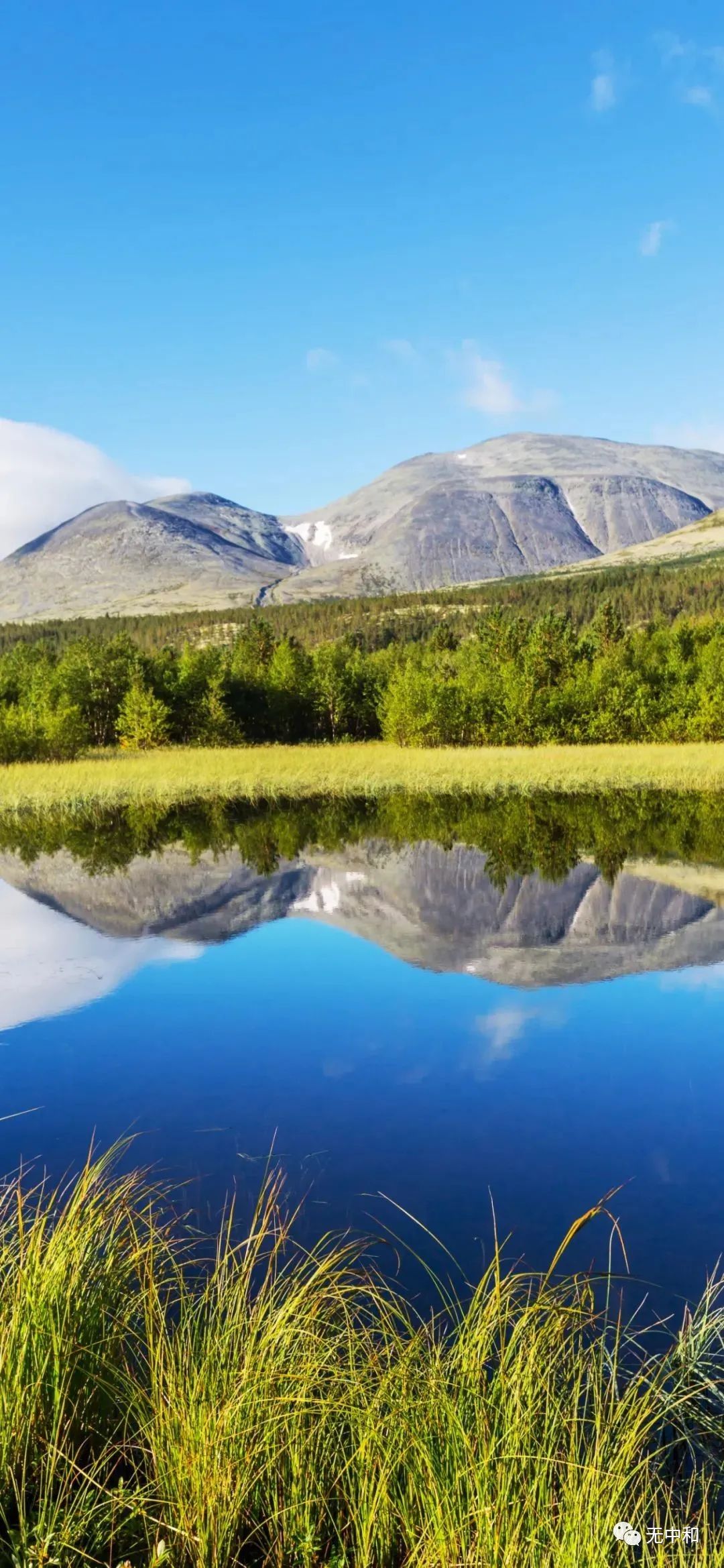 每天一分钟，知晓天下事！- 无中和wzhonghe.com -4