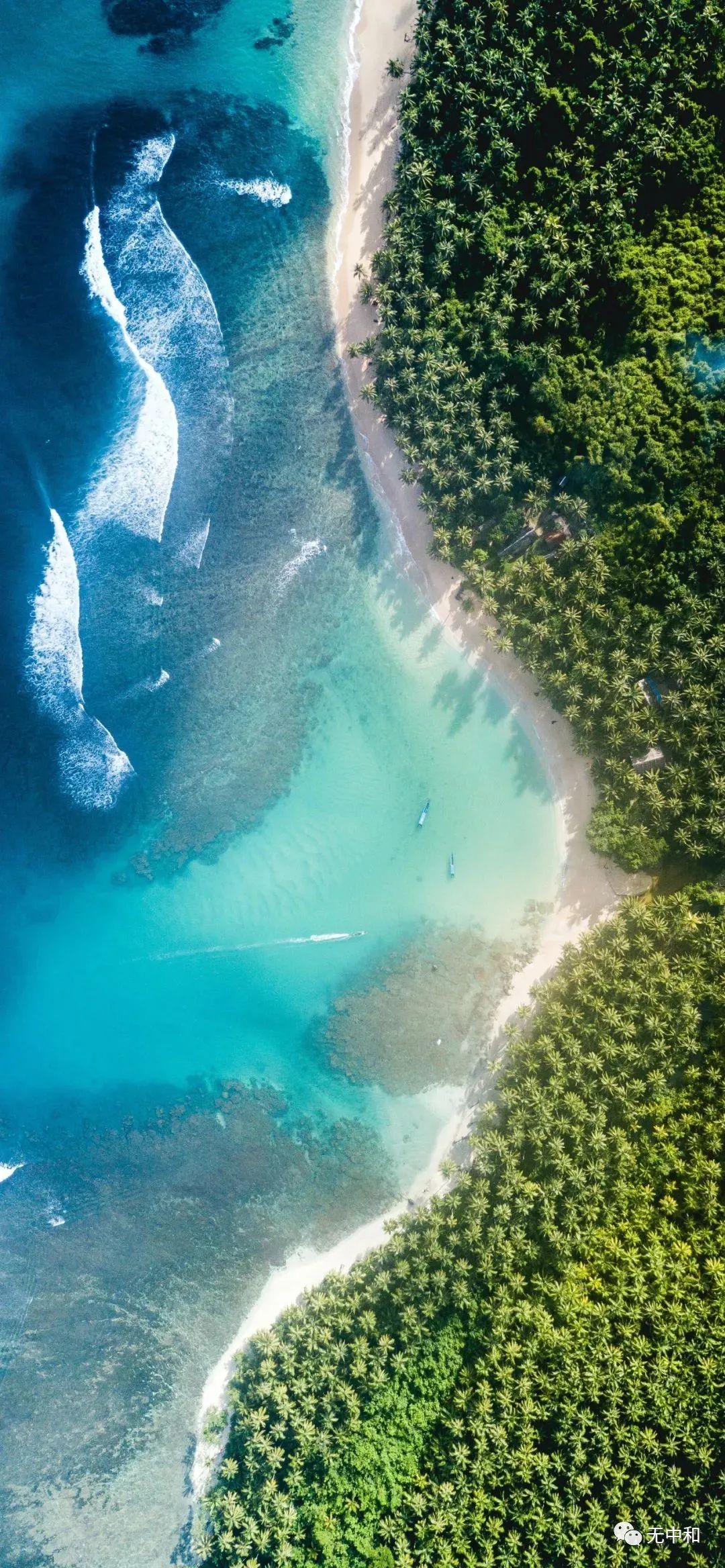 每天一分钟，知晓天下事！- 无中和wzhonghe.com -4