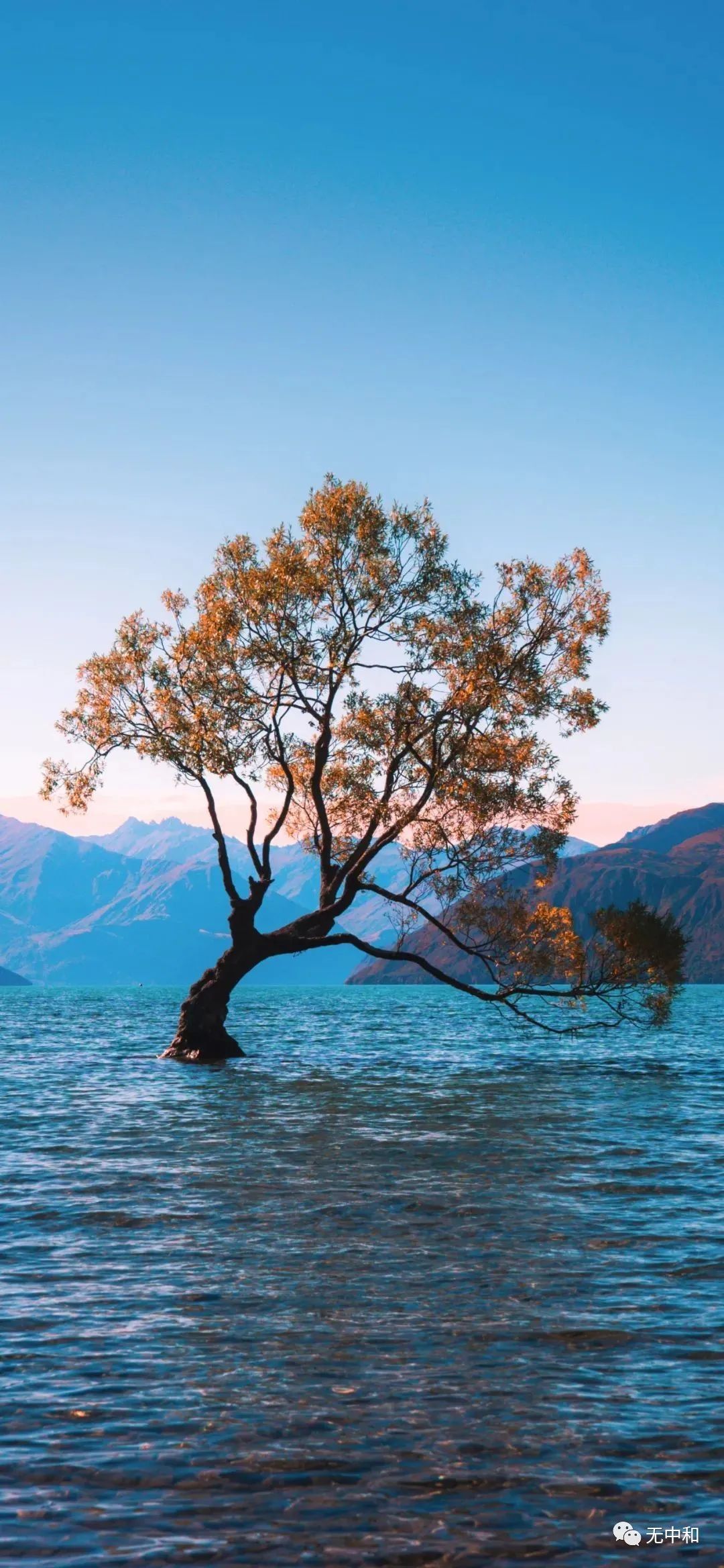 每天一分钟，知晓天下事！- 无中和wzhonghe.com -4