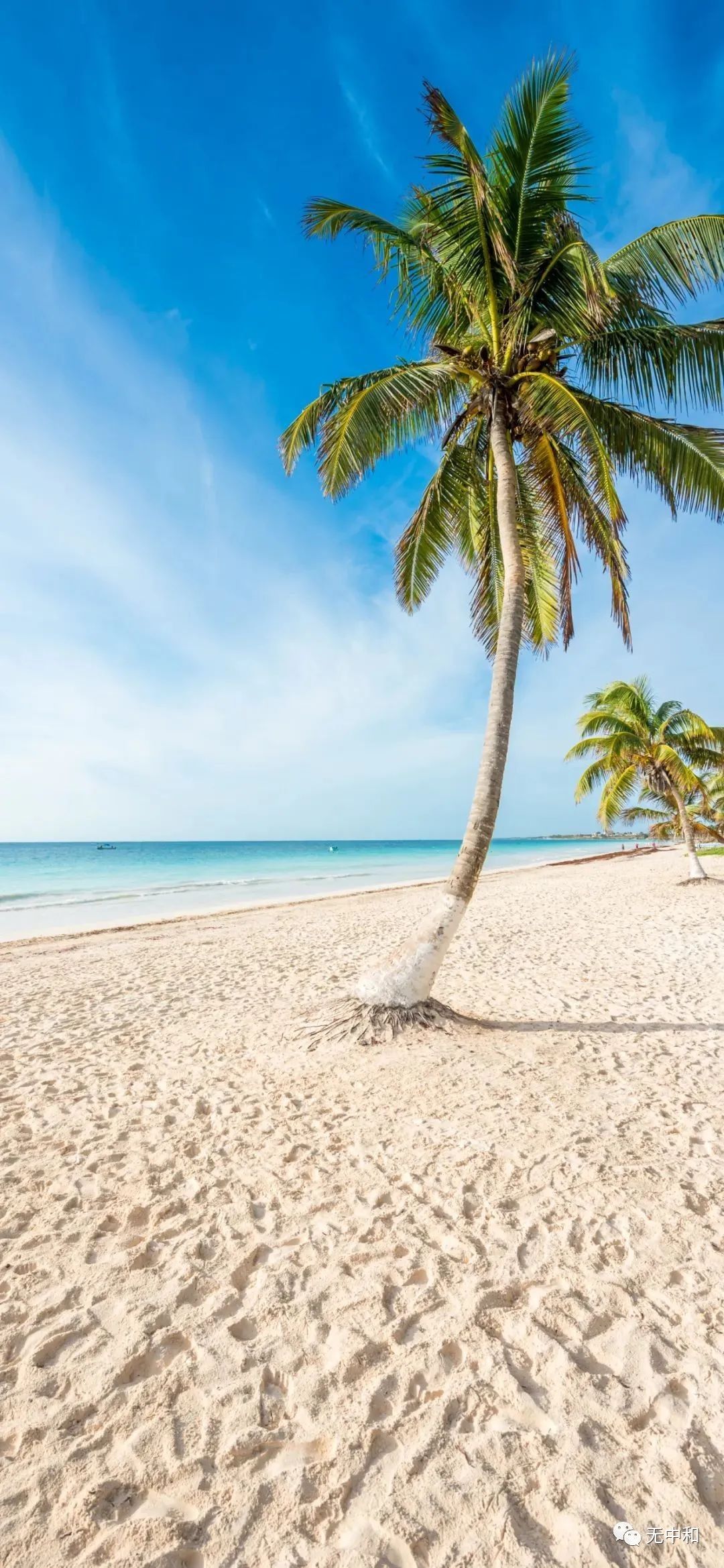 每天一分钟，知晓天下事！- 无中和wzhonghe.com -4