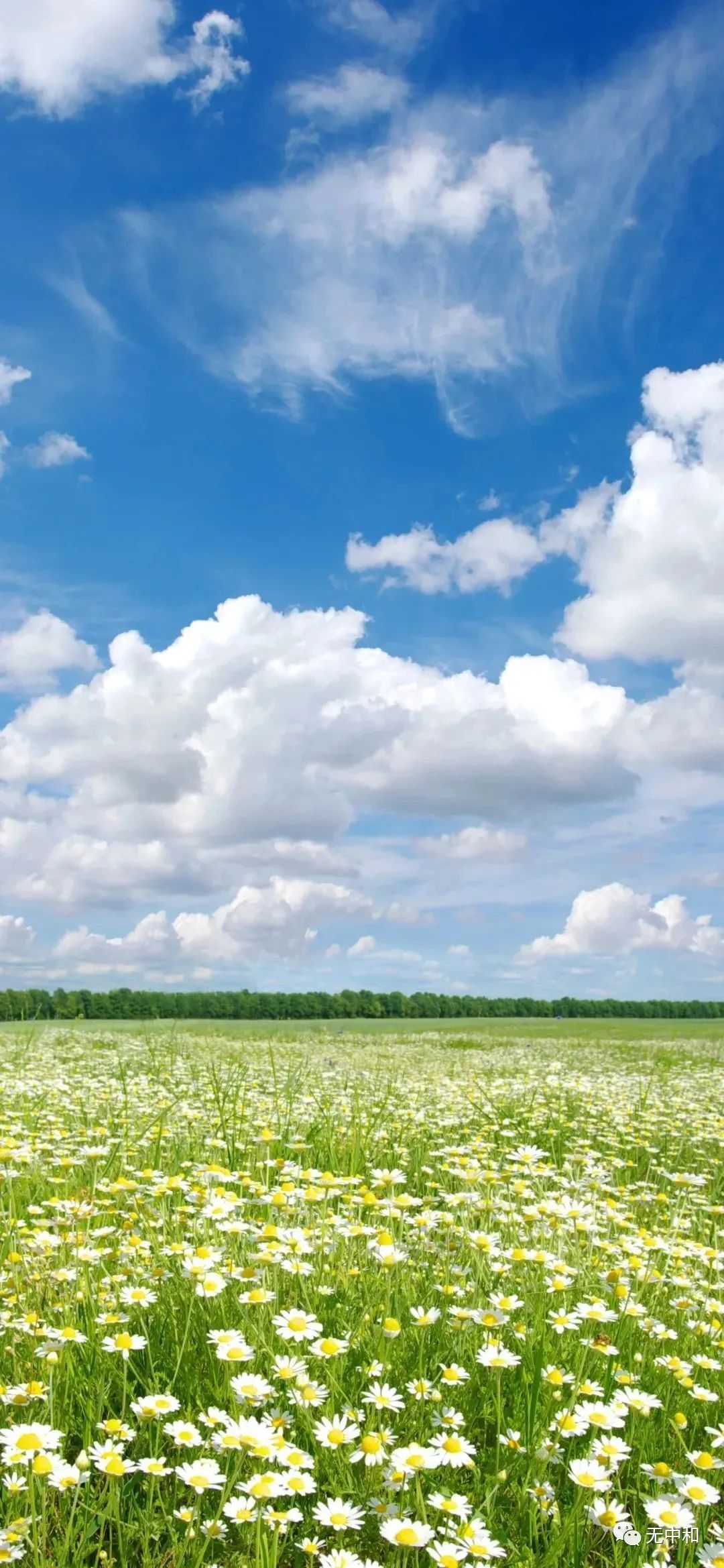 每天一分钟，知晓天下事！- 无中和wzhonghe.com -4