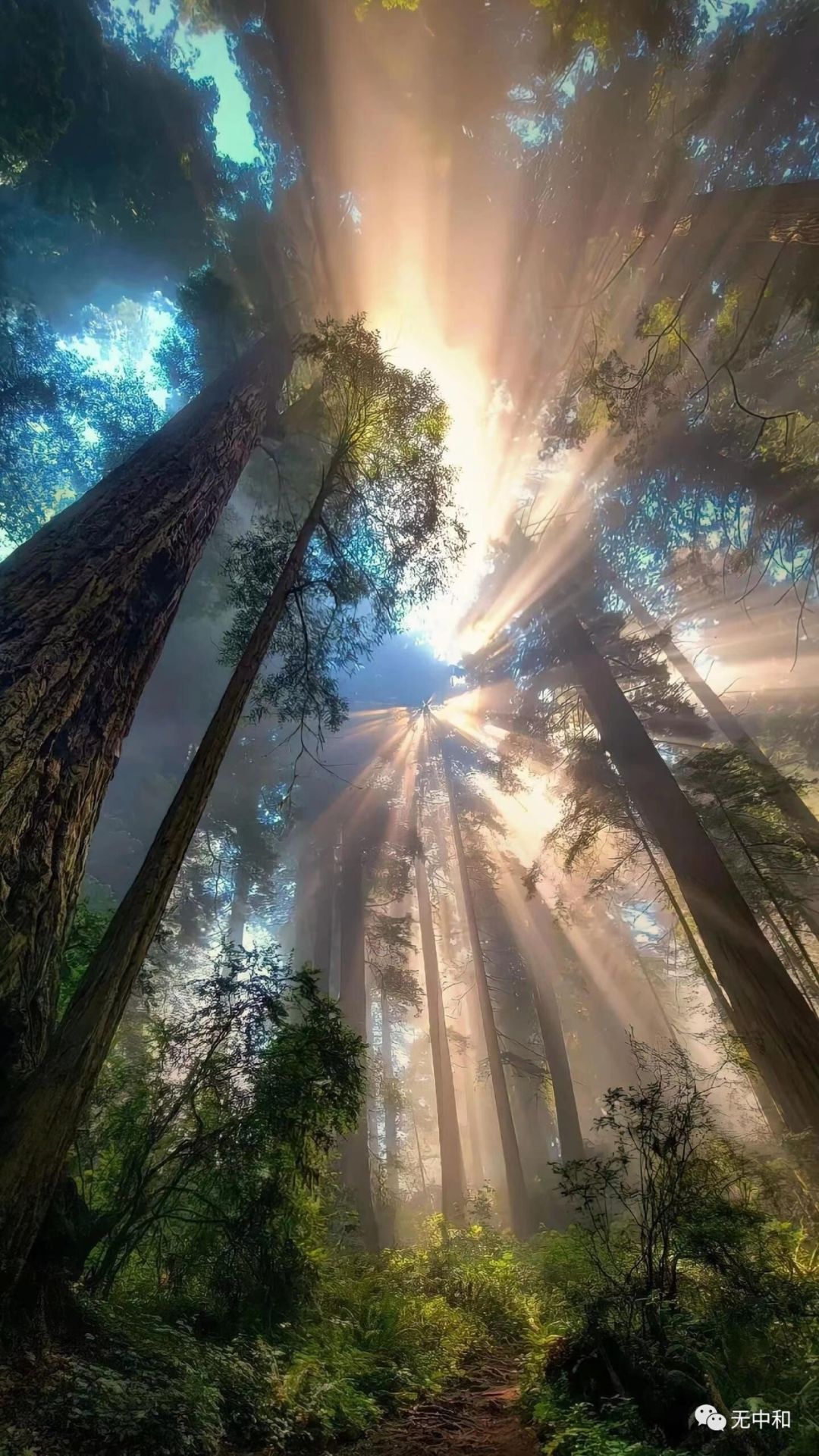 每天一分钟，知晓天下事！- 无中和wzhonghe.com -4