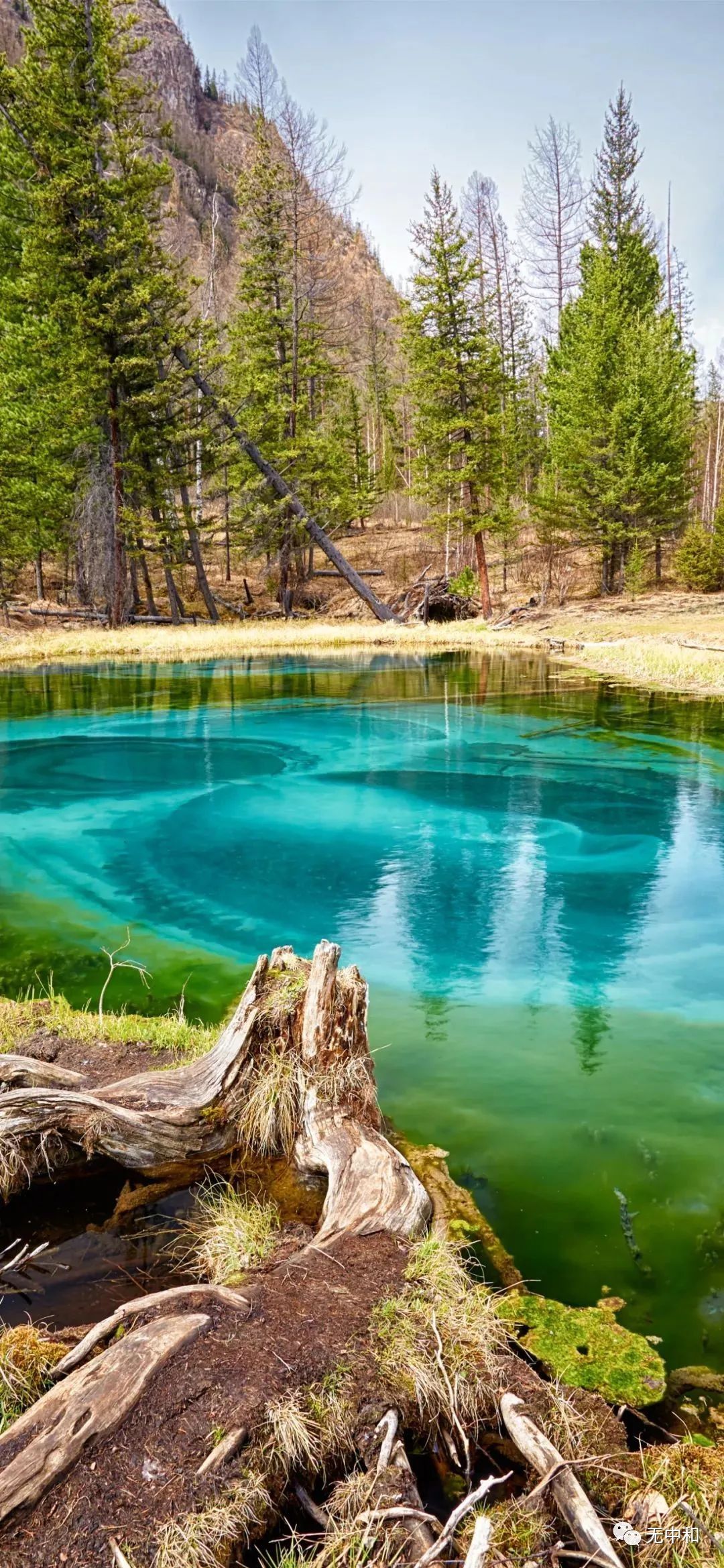 每天一分钟，知晓天下事！- 无中和wzhonghe.com -4