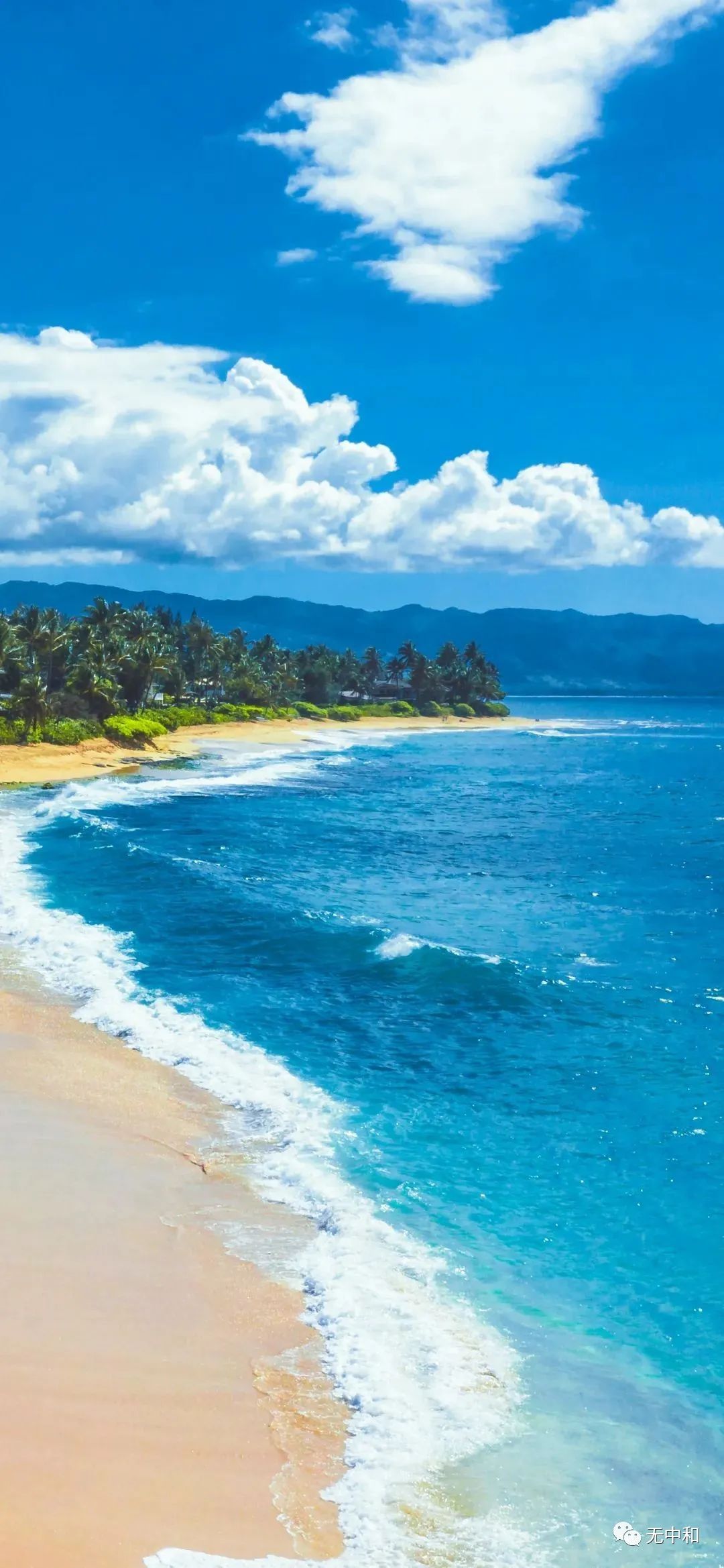 每天一分钟，知晓天下事！- 无中和wzhonghe.com -4