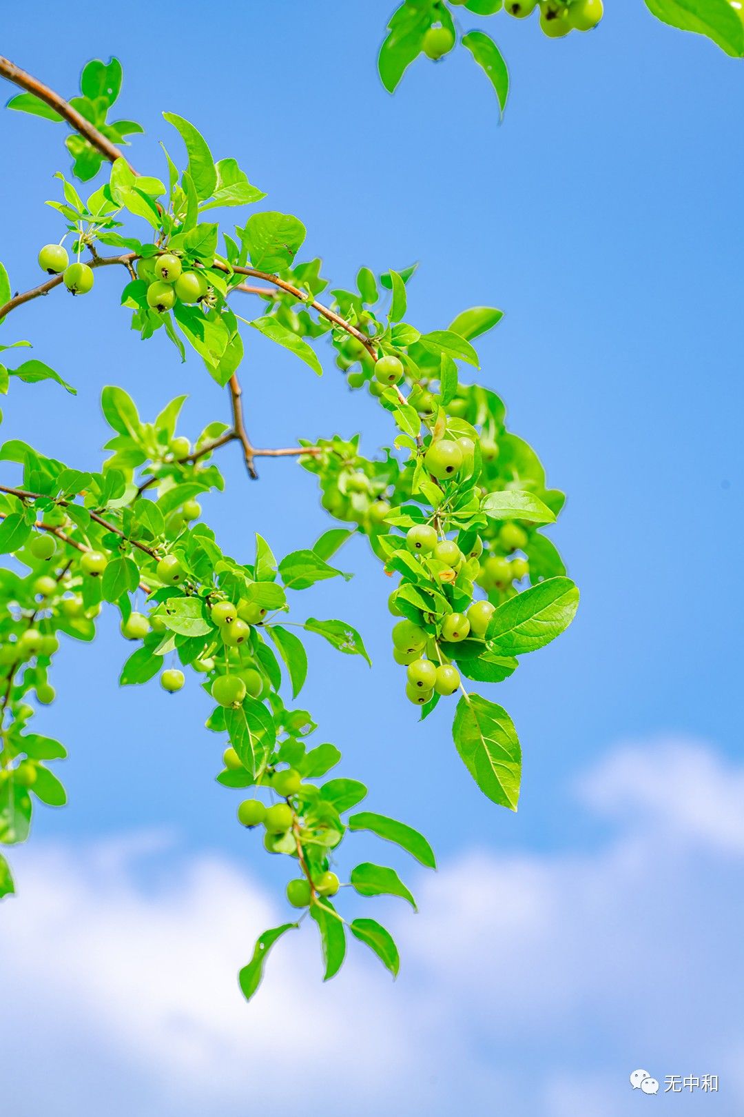 每天一分钟，知晓天下事！- 无中和wzhonghe.com -4