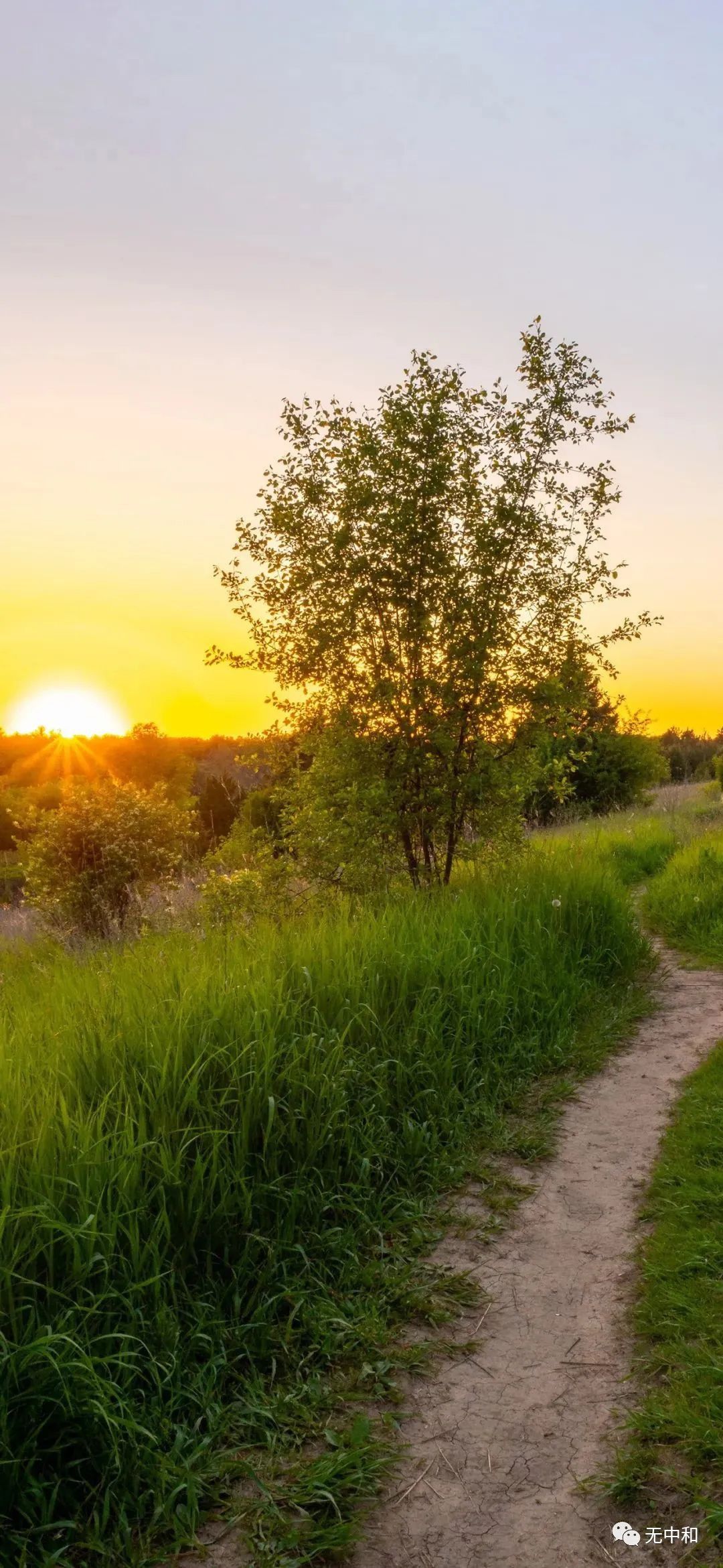 每天一分钟,知晓天下事!- 无中和wzhonghe.com -4 每天一分钟,知晓天下事!- 无中和wzhonghe.com -4