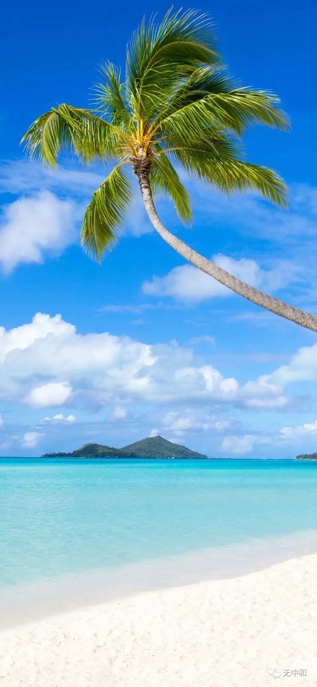 每天一分钟，知晓天下事！- 无中和wzhonghe.com -4