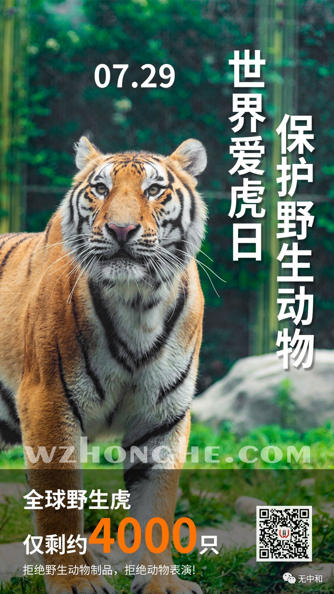 每天一分钟，知晓天下事！- 无中和wzhonghe.com -2