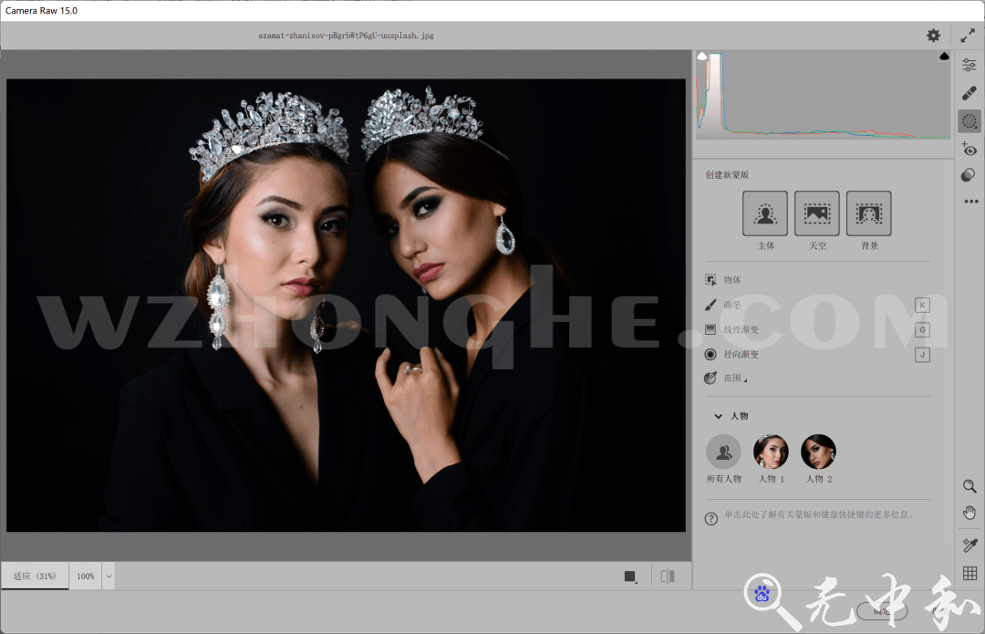 Adobe Camera Raw - 无中和wzhonghe.com -2