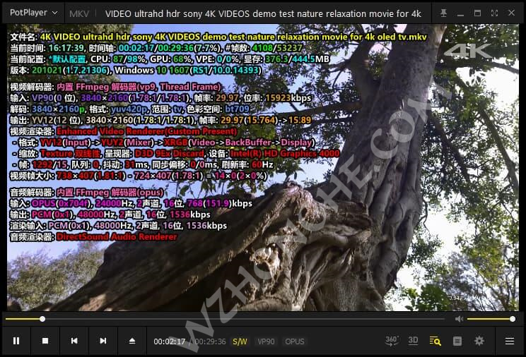 Daum PotPlayer - 无中和wzhonghe.com -3