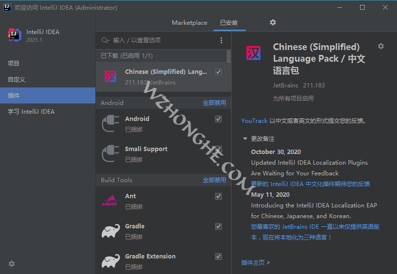 JetBrains中文语言包插件 - 无中和wzhonghe.com