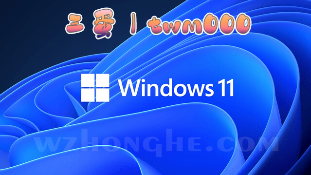 twm000 Windows_11_22H2 - 无中和wzhonghe.com