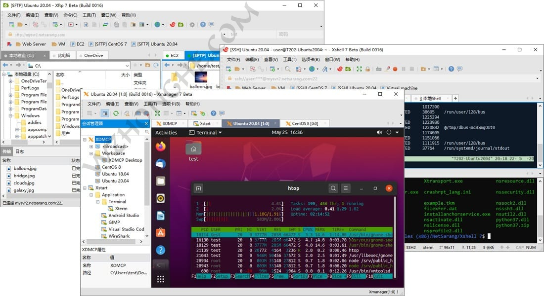 NetSarang Xmanager Power Suite - 无中和wzhonghe.com -1