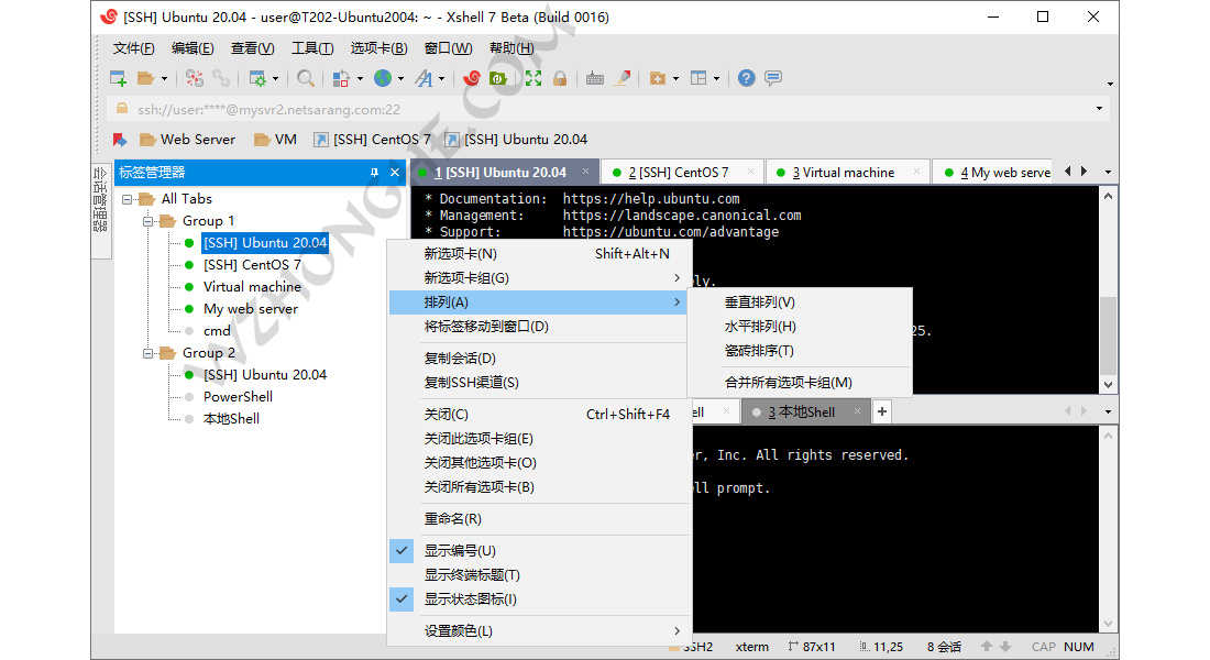 NetSarang Xmanager Power Suite - 无中和wzhonghe.com -2