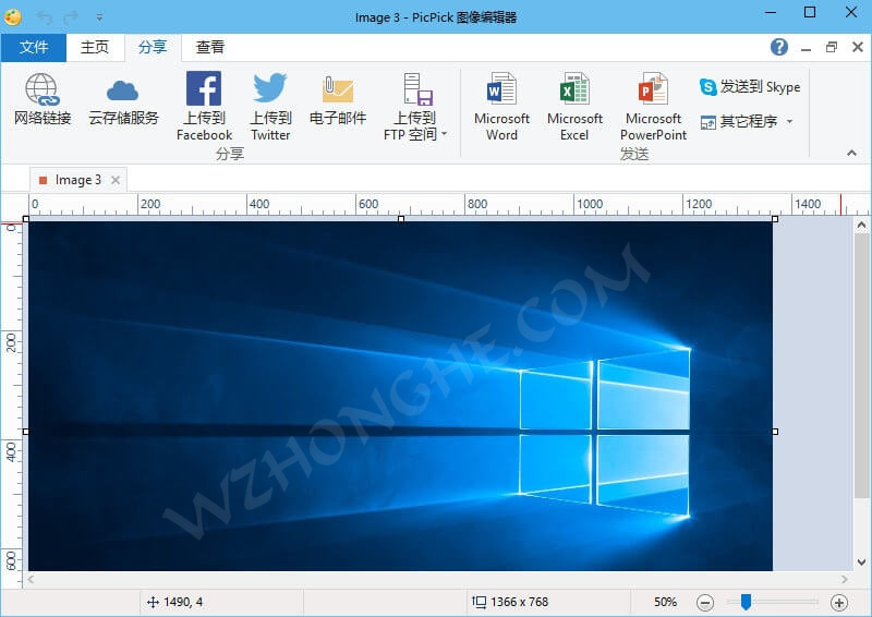 PicPick Professional - 无中和wzhonghe.com