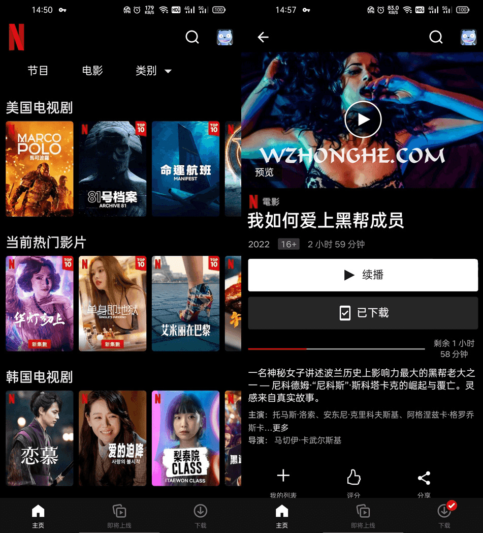 奈飞 Netflix - 无中和wzhonghe.com
