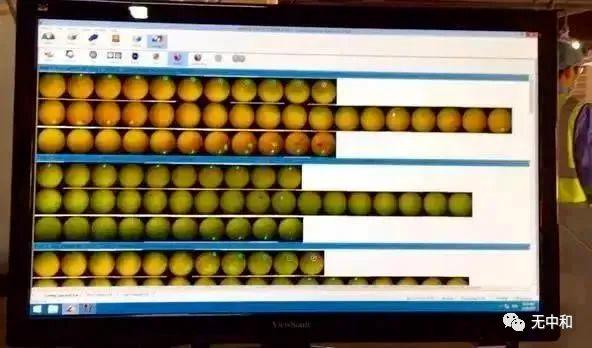 每天一分钟，知晓天下事！- 无中和wzhonghe.com