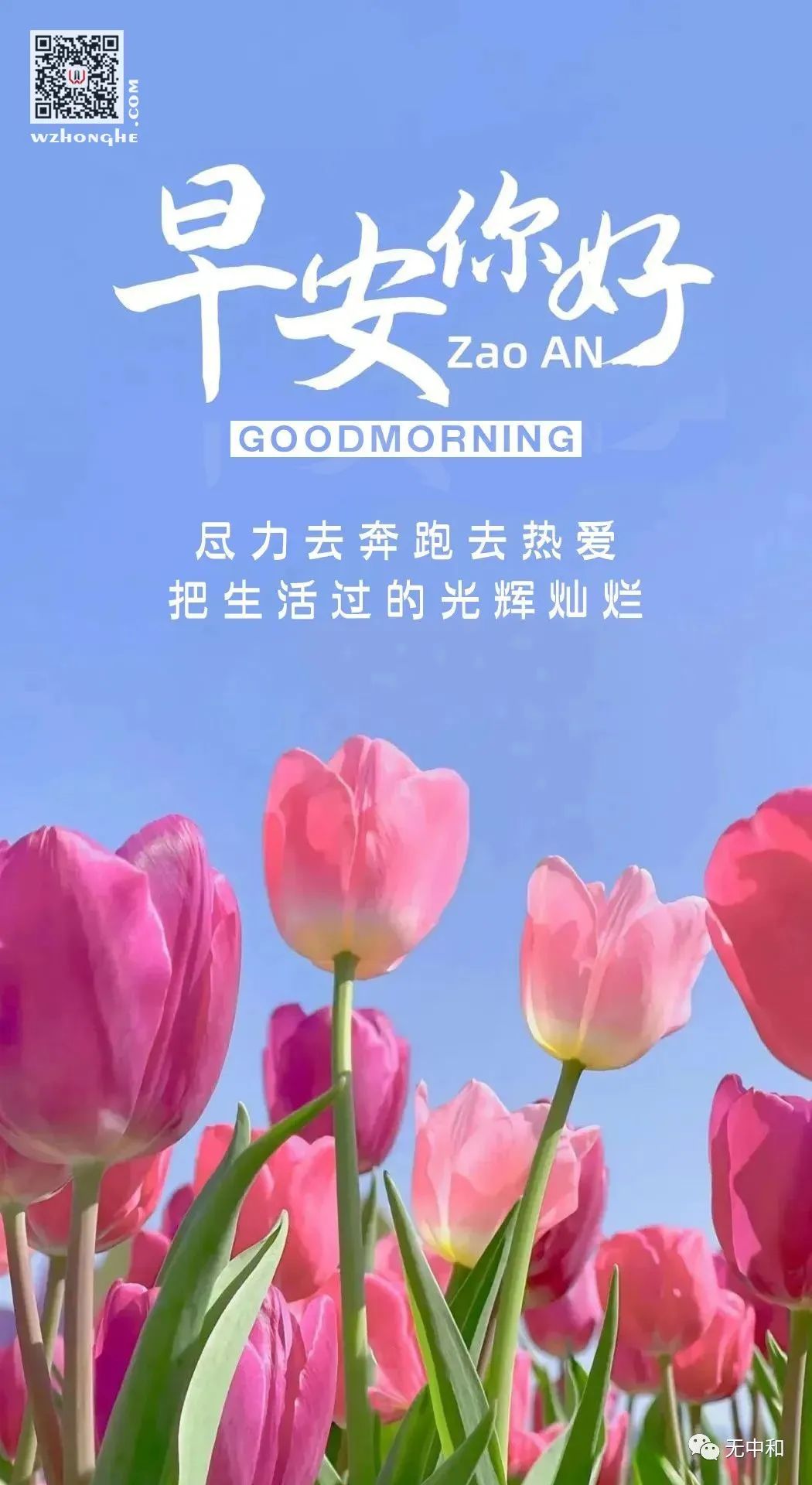 每天一分钟，知晓天下事！- 无中和wzhonghe.com