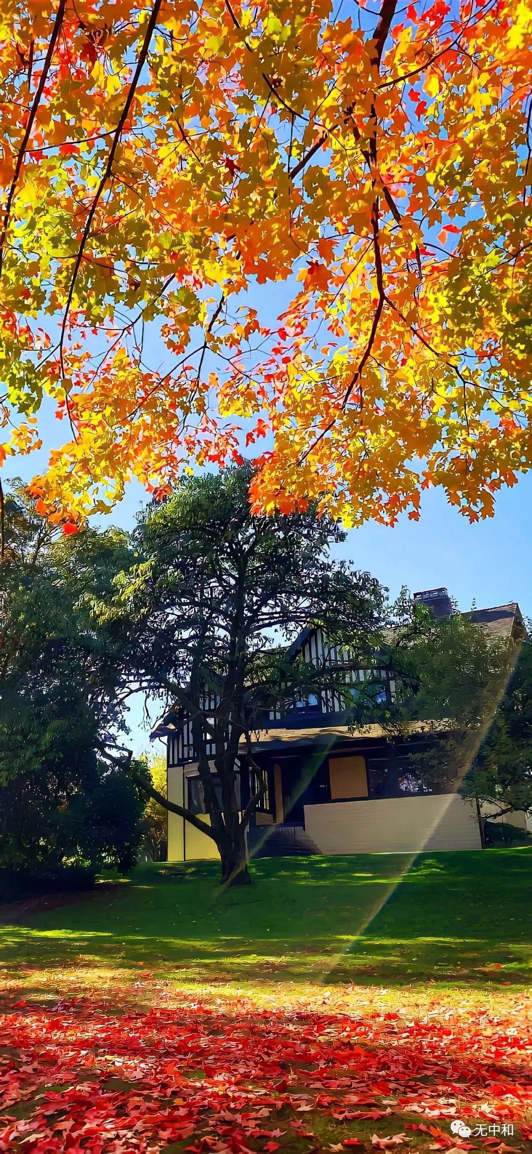 每天一分钟，知晓天下事！- 无中和wzhonghe.com