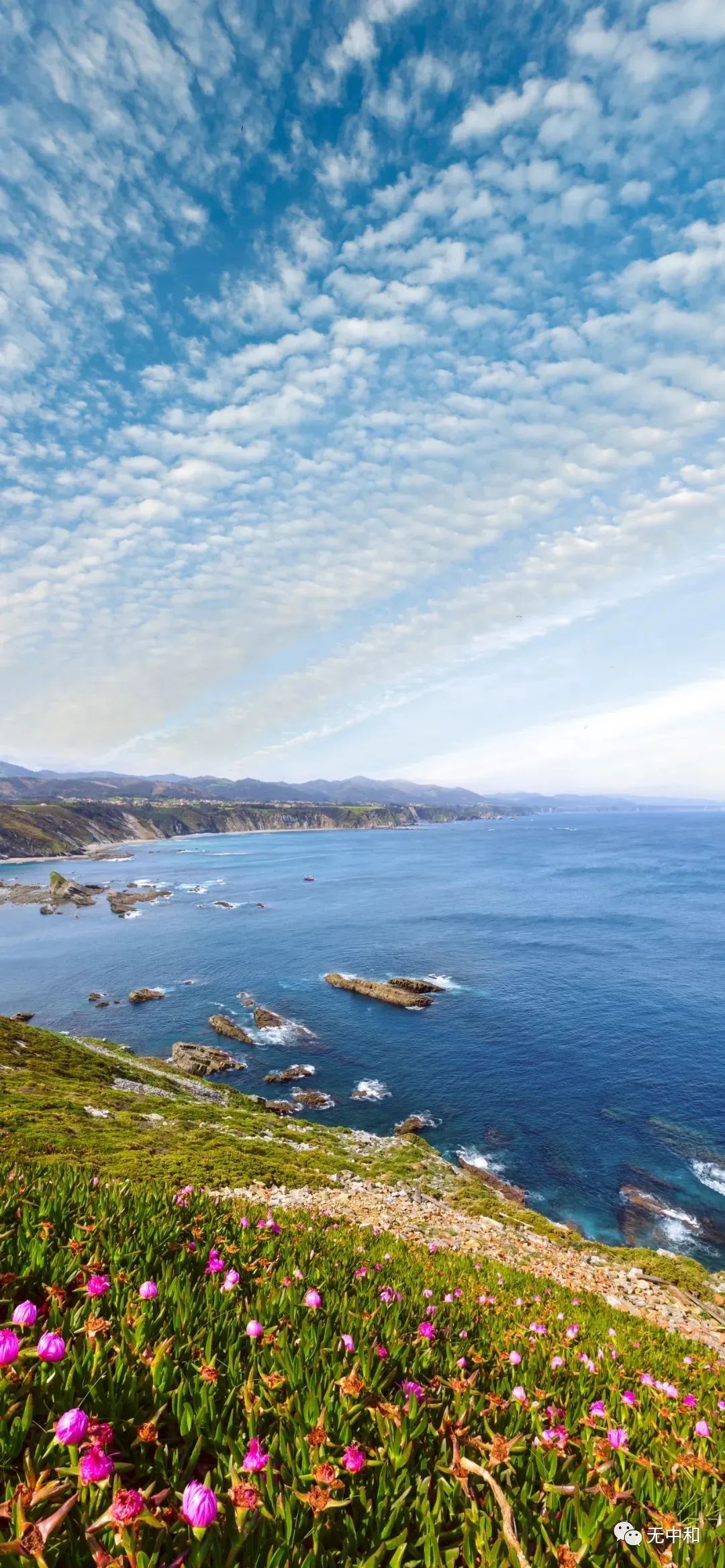 每天一分钟，知晓天下事！- 无中和wzhonghe.com