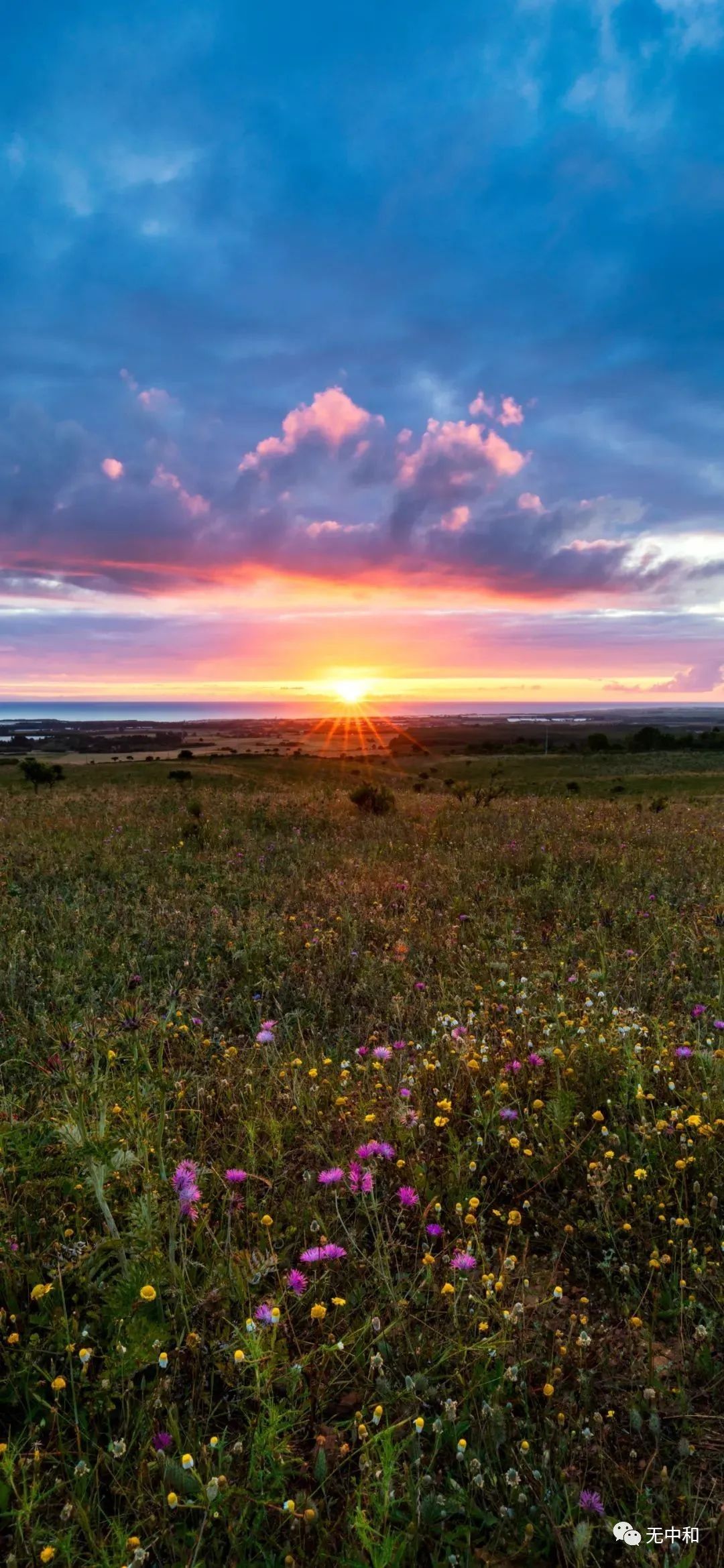 每天一分钟，知晓天下事！- 无中和wzhonghe.com