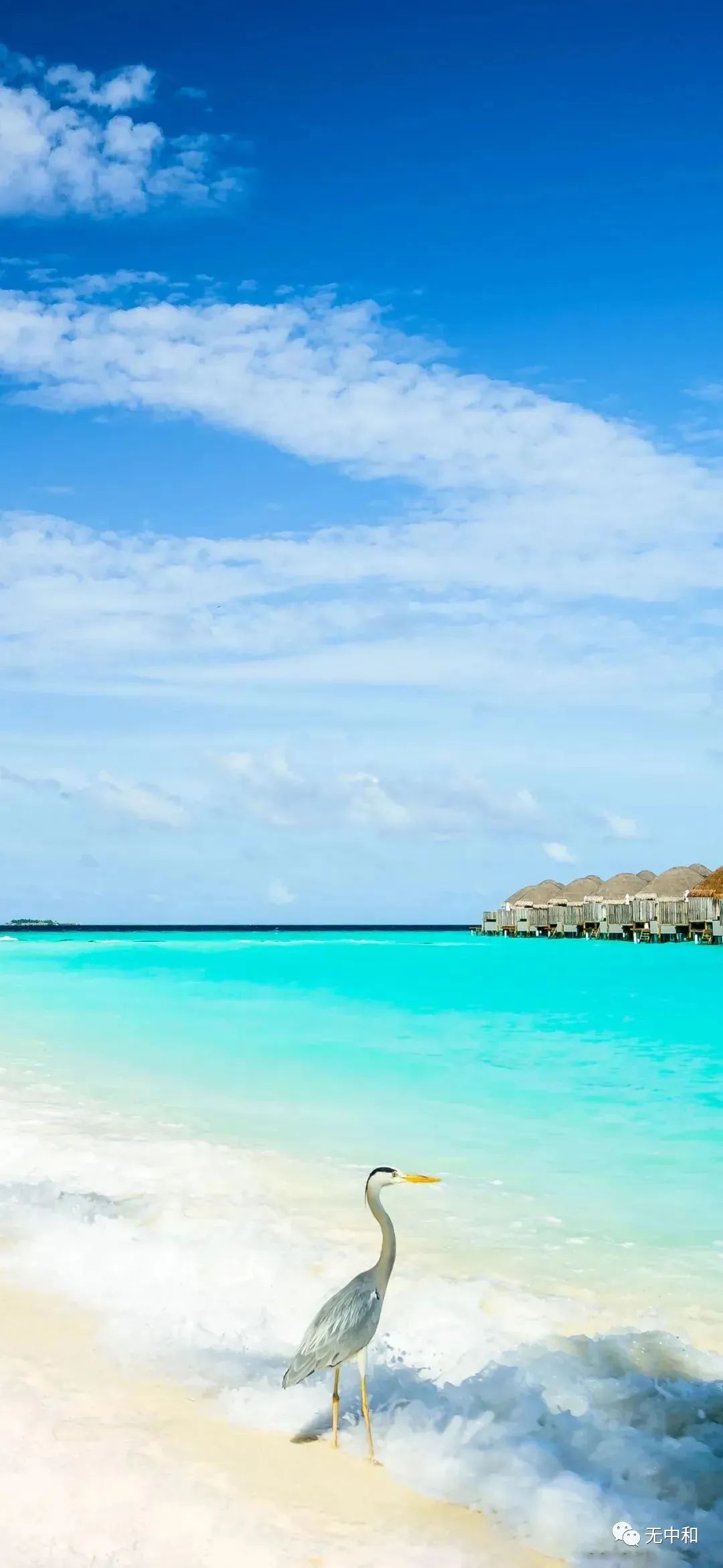 每天一分钟，知晓天下事！- 无中和wzhonghe.com