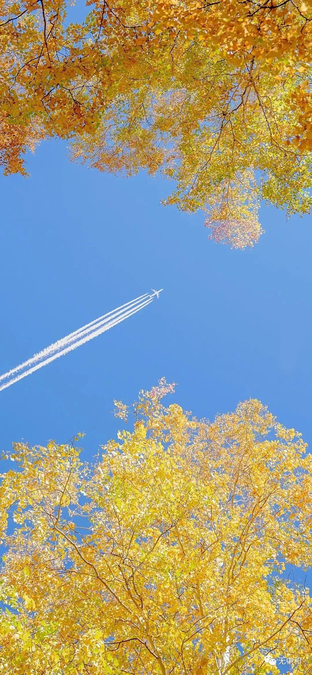 每天一分钟，知晓天下事！- 无中和wzhonghe.com