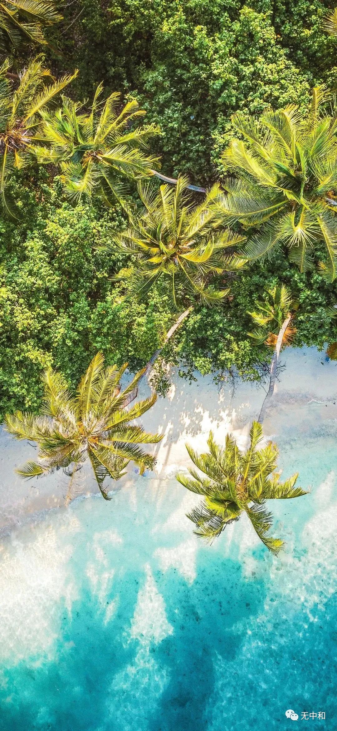 每天一分钟，知晓天下事！- 无中和wzhonghe.com