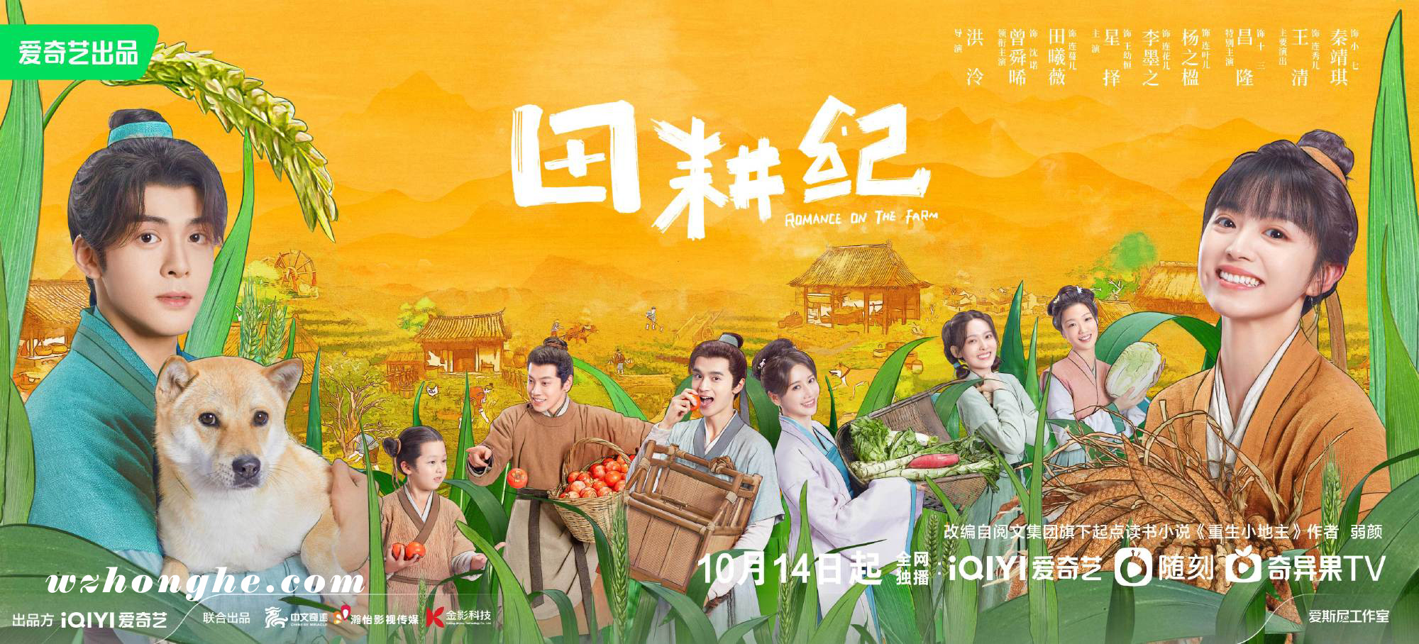 梅花红桃 - 无中和wzhonghe.com -2