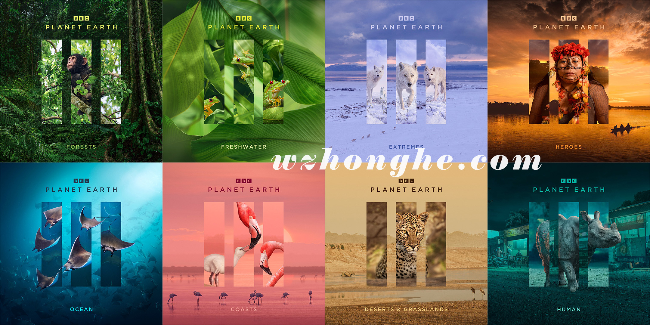 地球脉动3 - 无中和wzhonghe.com -2